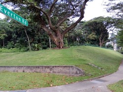 Blk 18 Cantonment Close (Bukit Merah), HDB 5 Rooms #167903952